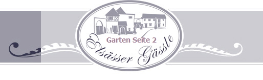 Garten Seite 2