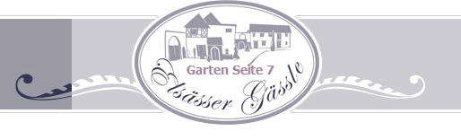 Garten Seite 7